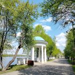 Срубят ещё 110 деревьев на набережной в Дубне