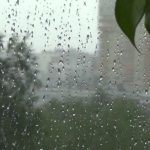 Холодная погода в Подмосковье в начале недели