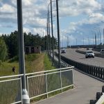 Лось под Дубненским мостом