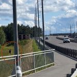 Лось рядом с мостом