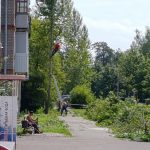 Борьба с зелеными насаждениями в Дубне